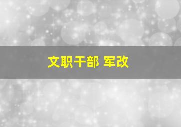 文职干部 军改